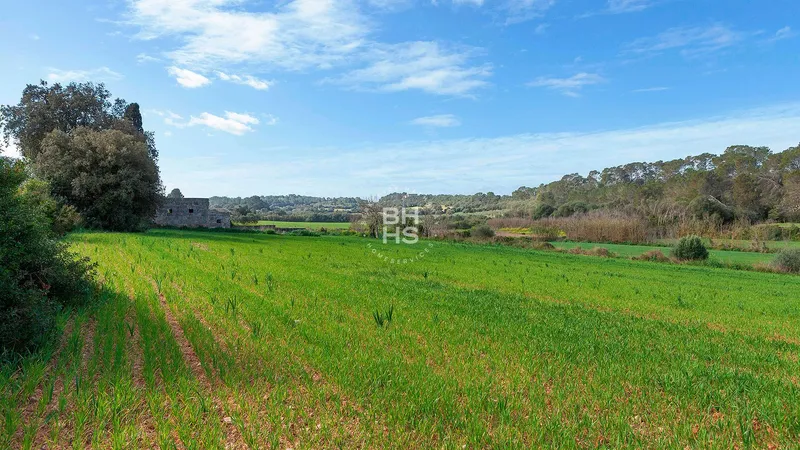 Country plot for sale in Muro — photo 7