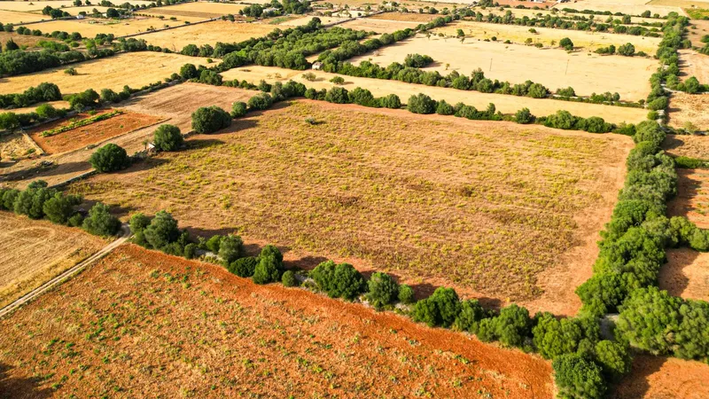 Plot in Felanitx with potential for your dream home — photo 4