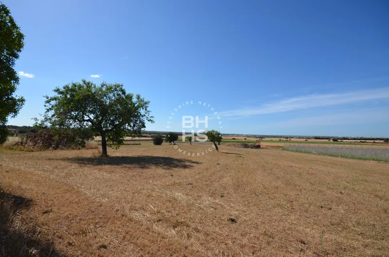 Rustic Finca for sale in La Casa Blanca — photo 9