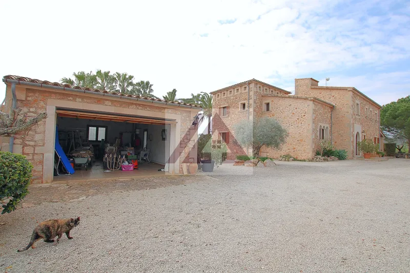 Country house for rent in Manacor — photo 7