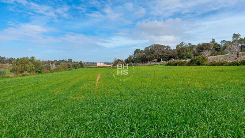 Country plot for sale in Muro — photo 4