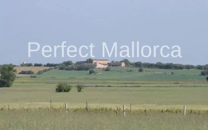 Majorcan country estate near Villafranca de Bonany — photo 8