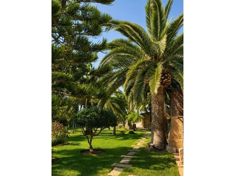 Villa in Palma de Mallorca, Province of Balearic Islands — photo 8