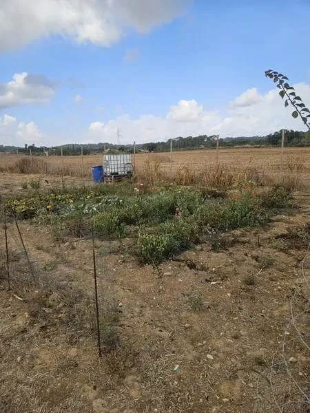 Plot of 3000 m2, urgent sale due to relocation to the mainland — photo 2