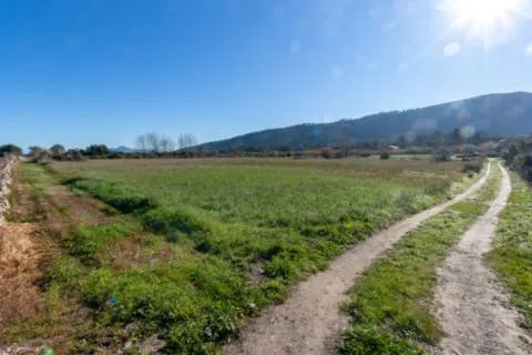 Plot — photo 2