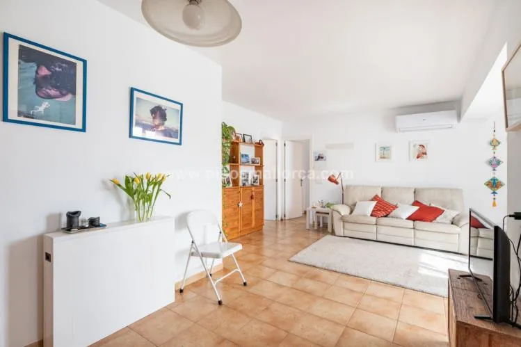 Penthouse. Palma de Mallorca — photo 9