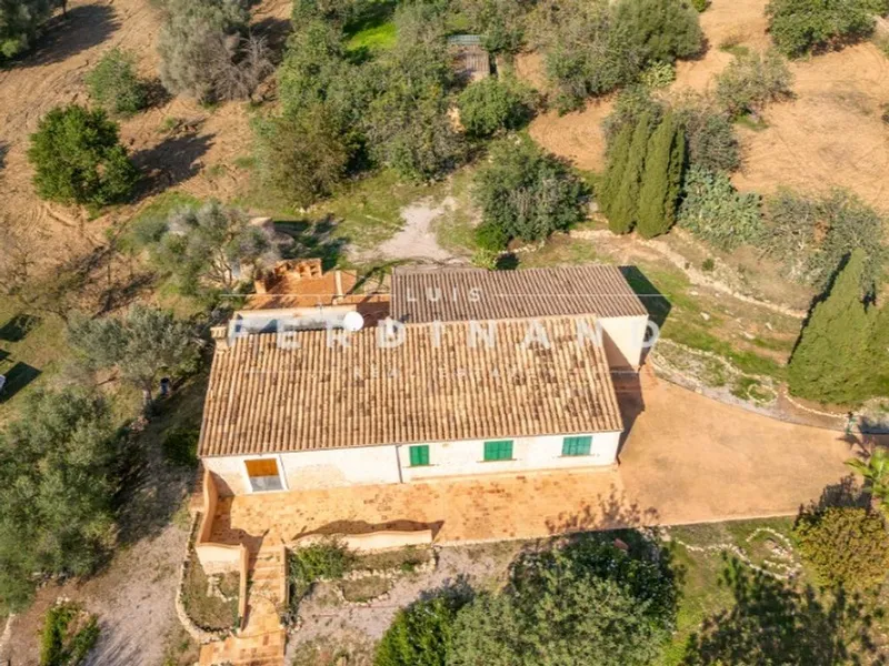 Luxury home in Santa Maria del Camí, Province of Balearic Islands — photo 11