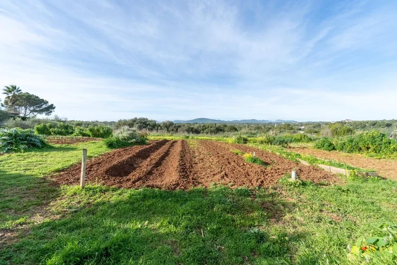 Rural or Farmhouse in Manacor, Province of Balearic Islands — photo 12