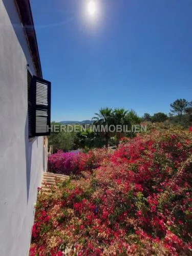 Fantastic finca property with ETV rental licence in Montuiri — photo 9