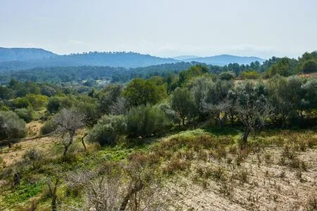 Rustic property - Llucmajor (Llucmajor (Campo)), Built Surface 1132m2, Plot Surface 171521m2, 5... — photo 10