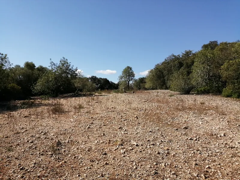 Country Land near Cas Concos — photo 8