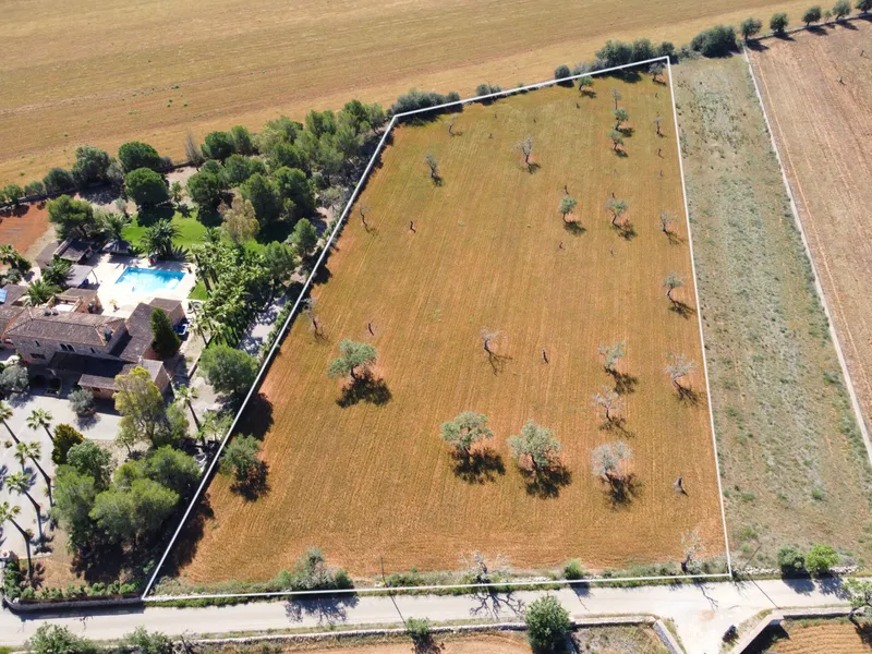 Non-buildable plot 1 km from Campos — photo 2