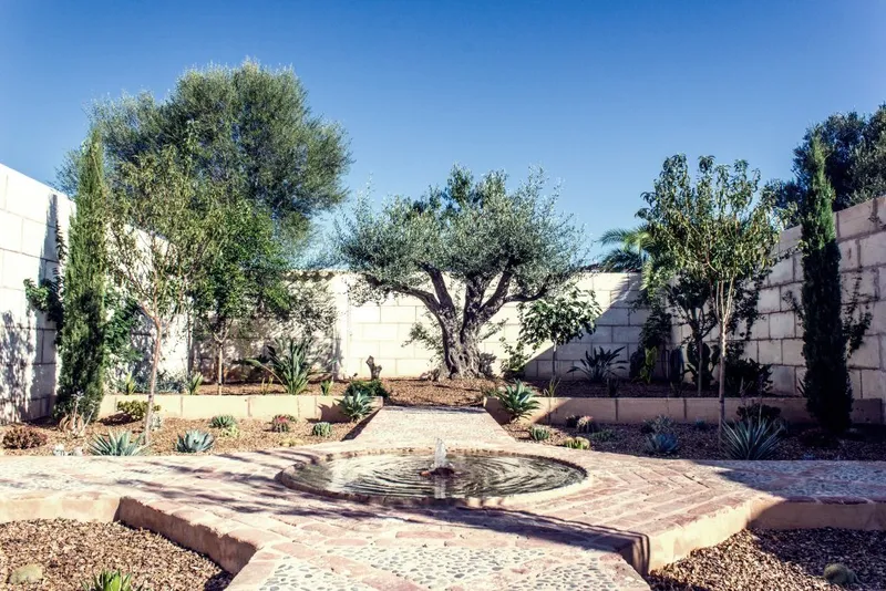 Townhouse with Huge Garden and Swimming Pool in the Centre of Ses Salines — photo 3