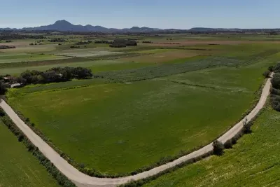 Building Plot in Manacor — photo 2