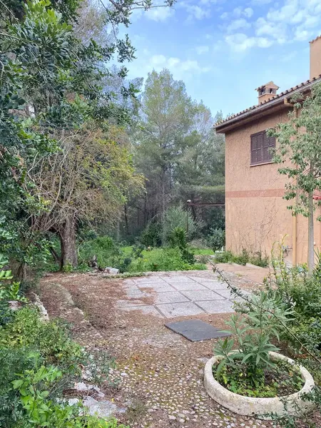 Investment Opportunity — photo 11