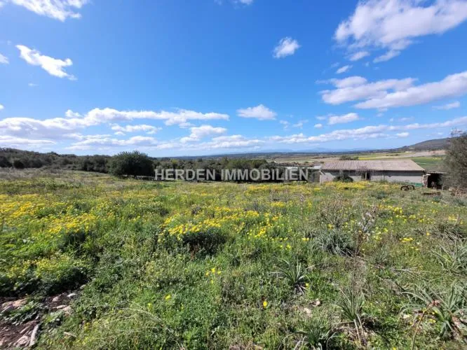 Building Plot for Sale in Manacor, Mallorca — photo 10