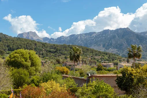 Sóller: Traditional Mallorcan finca in perfect condition on the edge of Sóller — photo 12