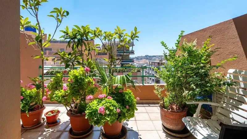 Located in one of the most prestigious and sought-after areas of Palma, next to Paseo Mallorca, this penthouse represents an excellent opportunity — photo 11