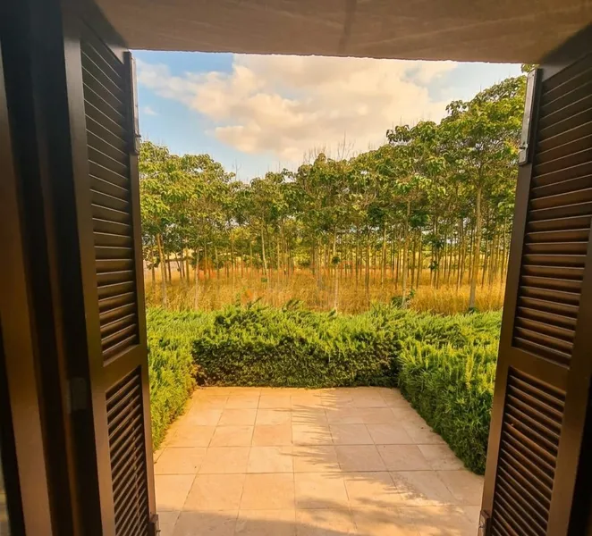For rent: beautiful very large Bauhaus-style finca in Manacor, Colonia de Sant Pere area — photo 7