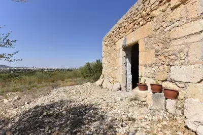 Sale Fincas Manacor — photo 4
