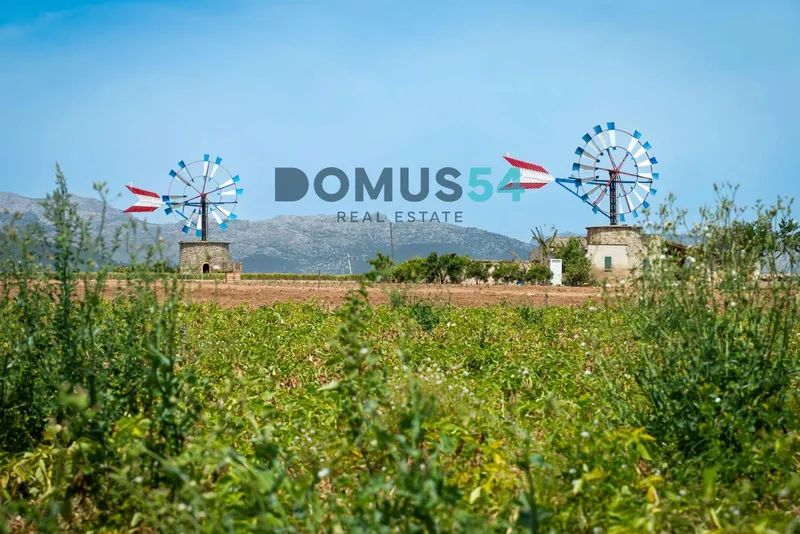 Plot of land for development in Sa Pobla — photo 6