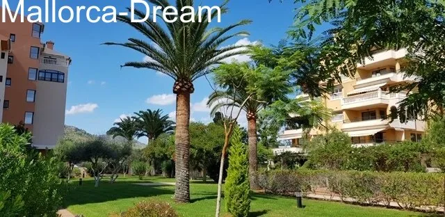Cala Millor: Attractive Apartment in Cala Millor – Only 200 Metres from the Sea — photo 4