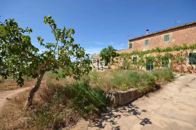 Rustic Finca for sale in La Casa Blanca — photo 2