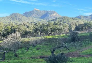 Terreno en Felanitx — photo 2