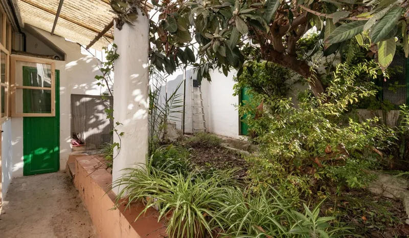 SVSTA 127 – Santa Catalina — photo 5