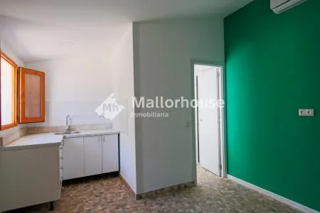 Stone house - Selva, Built Surface 35m², Plot Surface 8400m², Terrace Size 10m², 1 Room, 1... — photo 2