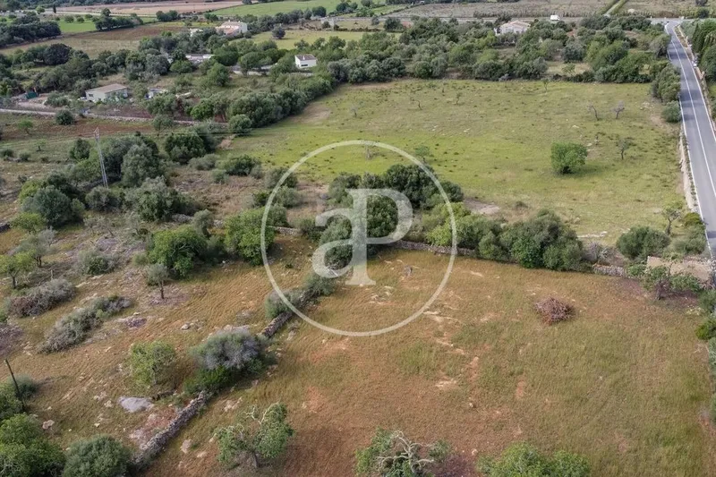 Land in Artà, Province of Balearic Islands — photo 9