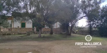 Country estate in Villafranca de Bonany — photo 7