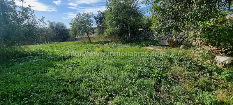 Unique opportunity on the outskirts of the charming municipality of Sencelles, on the beautiful island of Mallorca. This huge rustic estate — photo 6