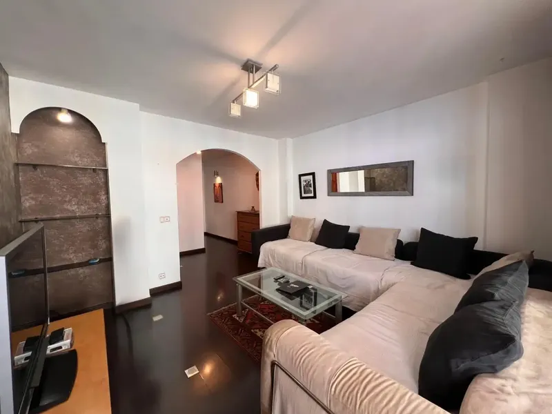 Penthouse with large terrace and bright spaces — photo 1