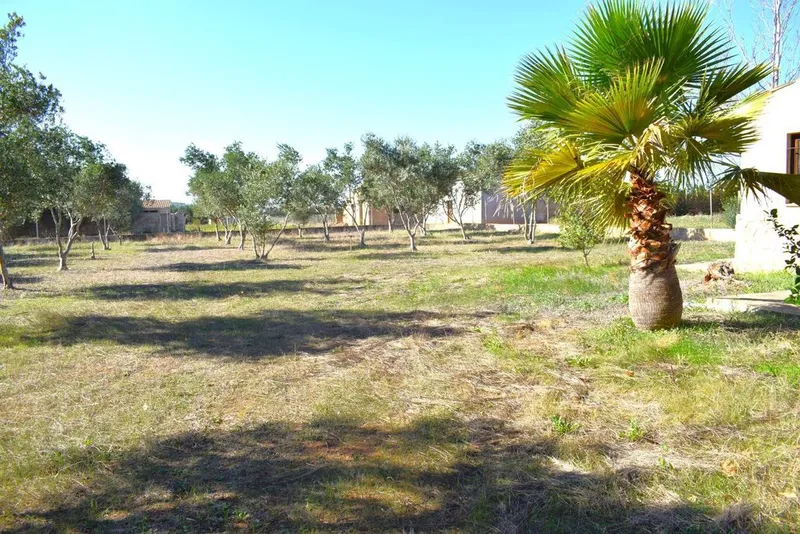 Rural or Farmhouse in Muro, Province of Balearic Islands — photo 8