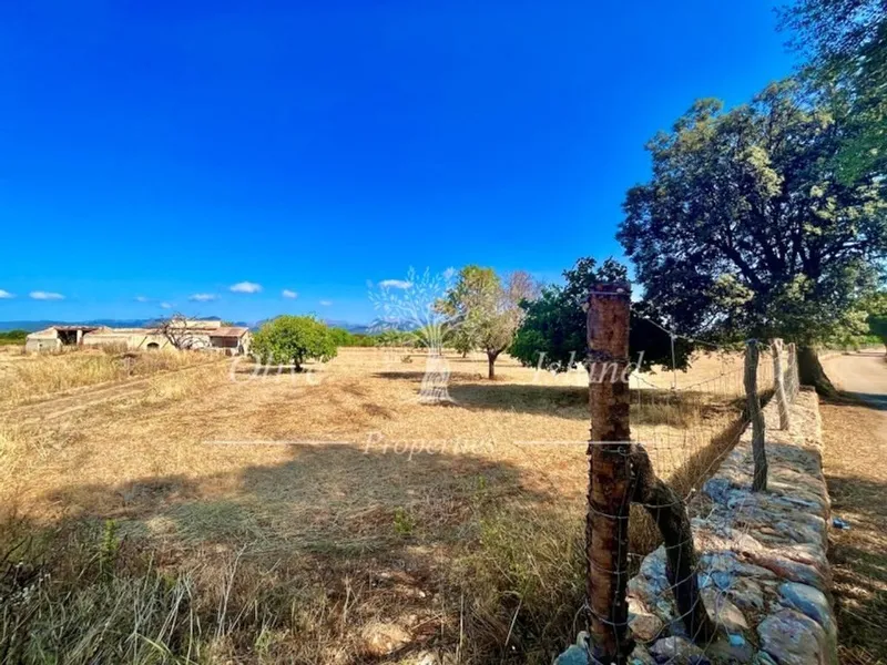 Land in Inca, Province of Balearic Islands — photo 3