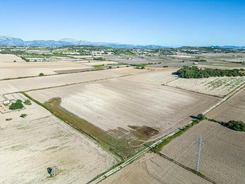 Rustic plot of 42,618 m2 for sale with New Building License granted, for the construction of a single-family house, one story — photo 12