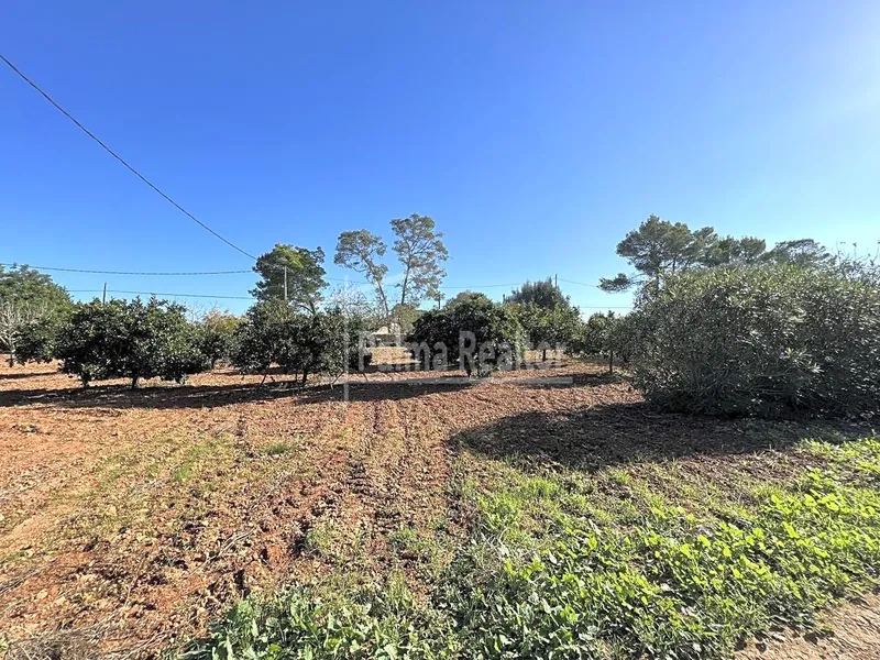 Country Estate for sale in Algaida of 16229 m2 — photo 1