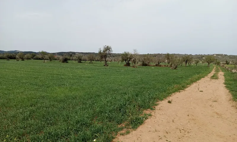 Country Plot in Campos — photo 6