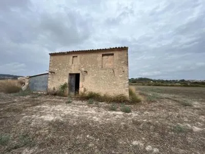 Rural Land - Sant Joan (Centro), Plot Surface 17056m² — photo 3