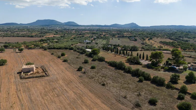 Rustic plot in Algaida — photo 6
