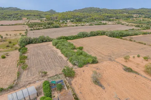 Land in Porreres, Mallorca — photo 4