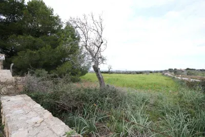 91,430-square-meter land in Petra — photo 1