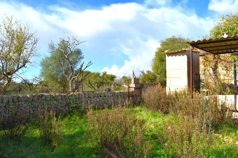 Land in Llubí, Province of Balearic Islands — photo 11