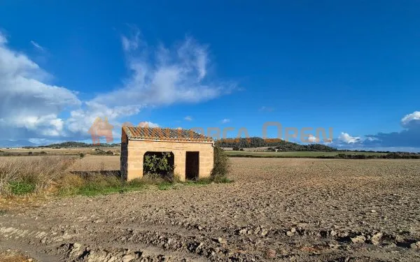 Buildable rustic plot for sale in Montuïri — photo 3