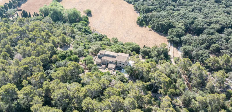 Ca’n Martorellet: 13th-century historic estate with 244 hectares in Pollença — photo 8