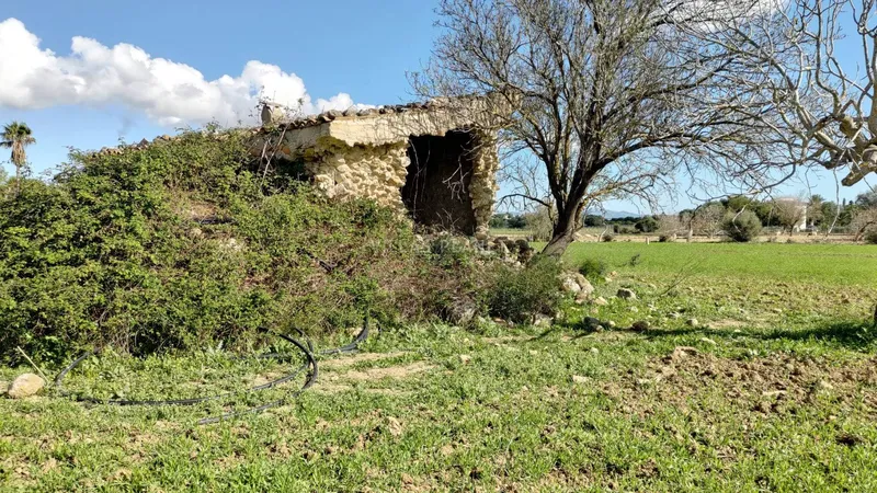Rural estate with build... — photo 7