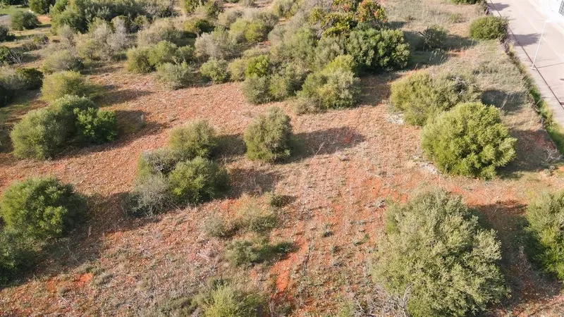 Land in Marratxí, Province of Balearic Islands — photo 6