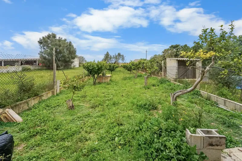 This 823 m² property in Felanitx offers more than meets the eye - and that is rare in Mallorca. — photo 5