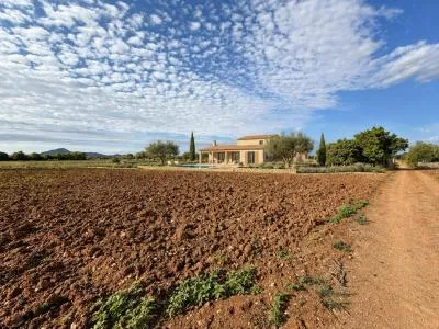 Rustic property - Manacor (outskirts), built surface 85 m², plot surface 28,442 m², 1 room, 1 bathroom — photo 10